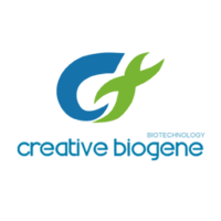 Creative Biogene Catalog